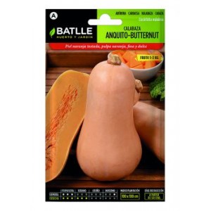 Calabaza anquito-butternut